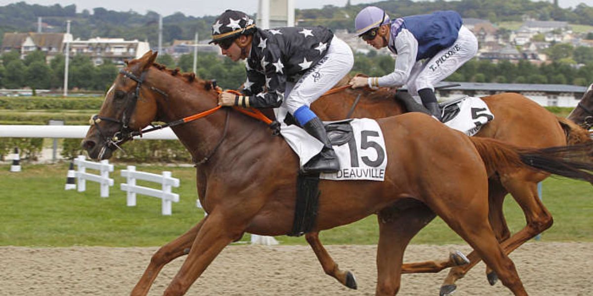 Quinté du mardi 8 avril 2025 à Deauville: les pronostics