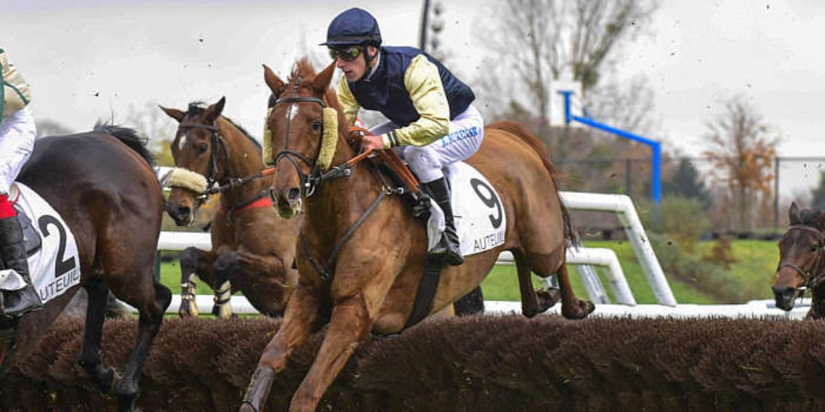 Quinté du jeudi 10 avril 2025 à Auteuil: les pronostics