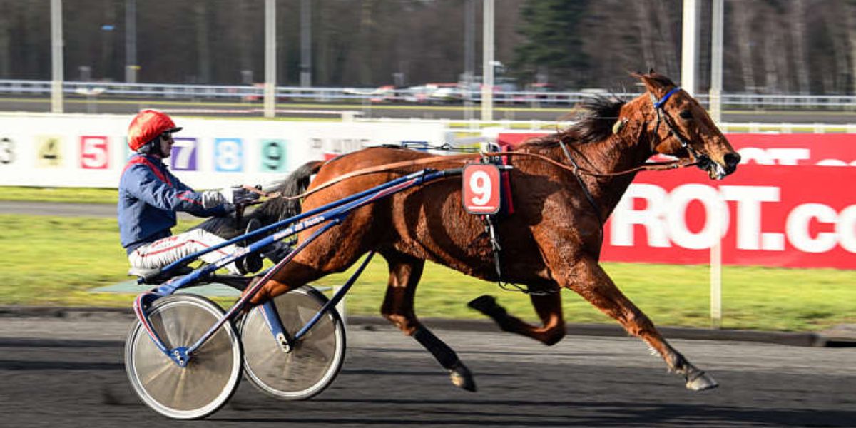 Quinté du vendredi 11 avril 2025 à Vincennes: les pronostics