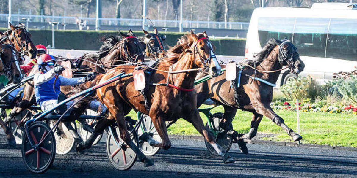 Quinté du samedi 12 avril 2025 à Vincennes: les pronostics