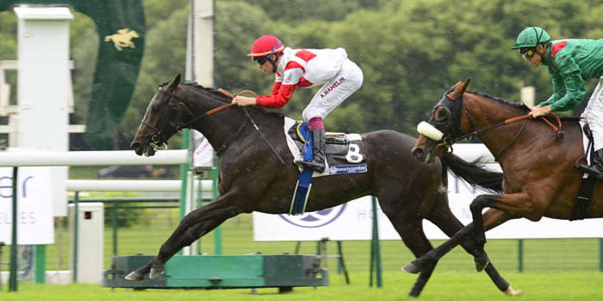 Quinté du dimanche 13 avril 2025 à Longchamp: les pronostics