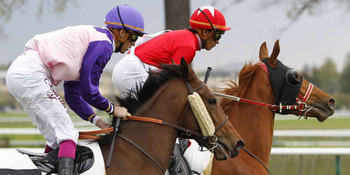 Quinté du lundi 14 avril 2025 à Chantilly: les pronostics