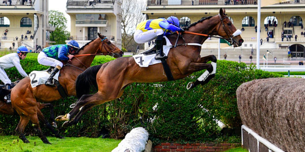 Quinté du mardi 15 avril 2025 à Auteuil: les pronostics