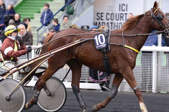 Quinté du vendredi 18 avril 2025 à Vincennes: les pronostics
