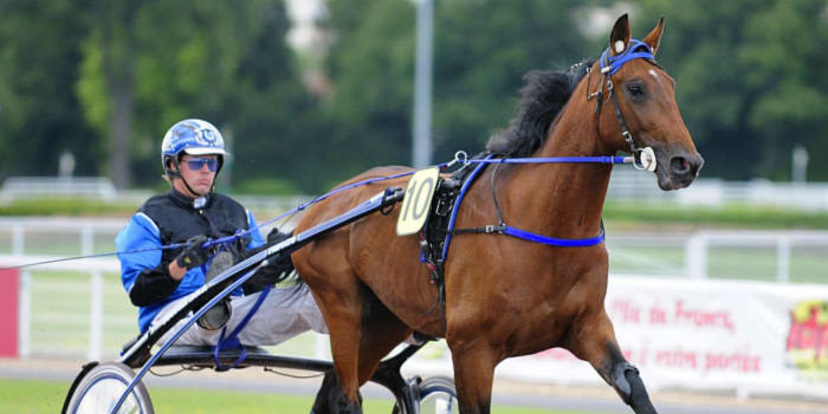 Quinté du samedi 19 avril 2025 à Enghien: les pronostics