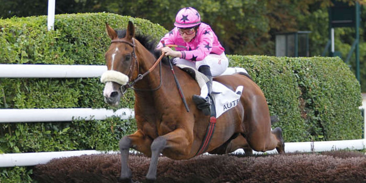 Quinté du dimanche 20 avril 2025 à Auteuil: les pronostics