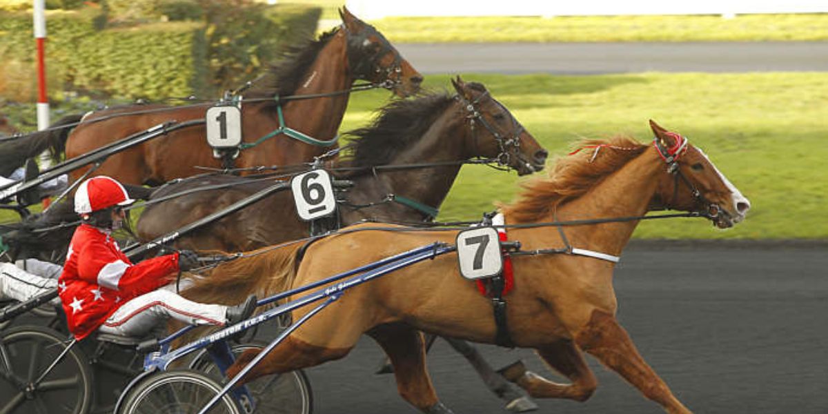 Quinté du vendredi 25 avril 2025 à Vincennes: les pronostics