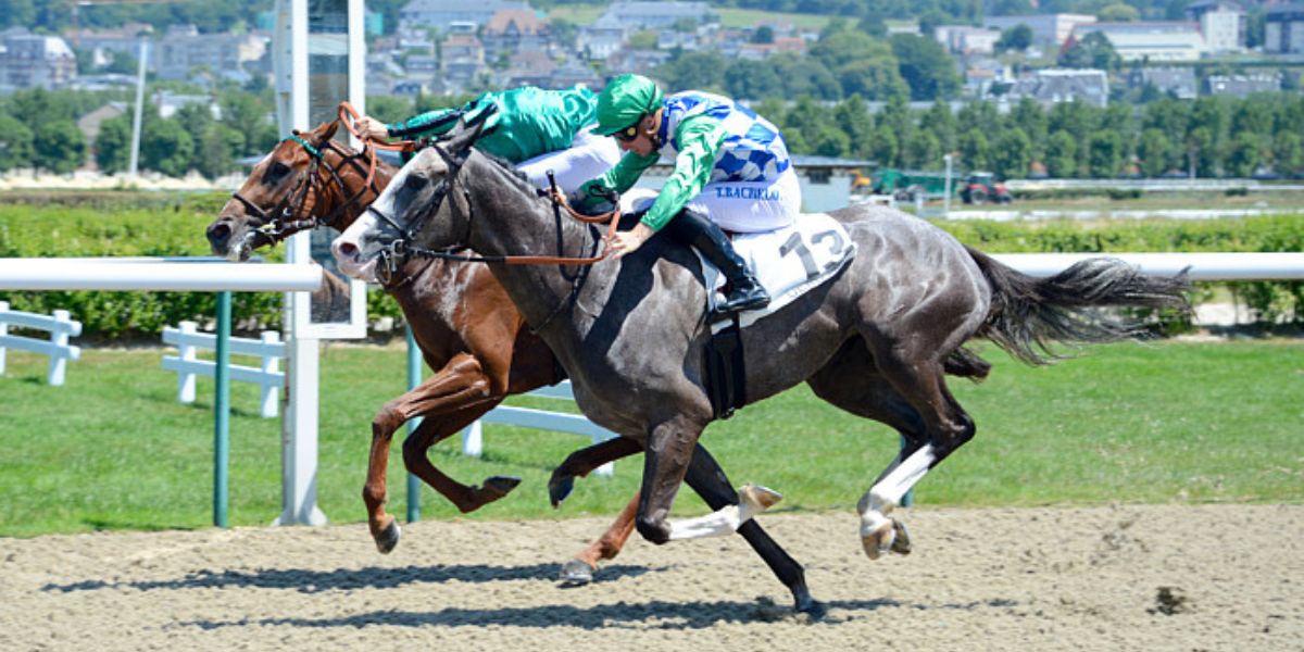 Quinté du lundi 28 avril 2025 à Chantilly: les pronostics