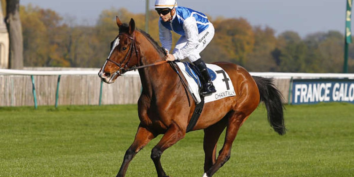 Quinté du dimanche 1er juin 2025 à Chantilly: les pronostics