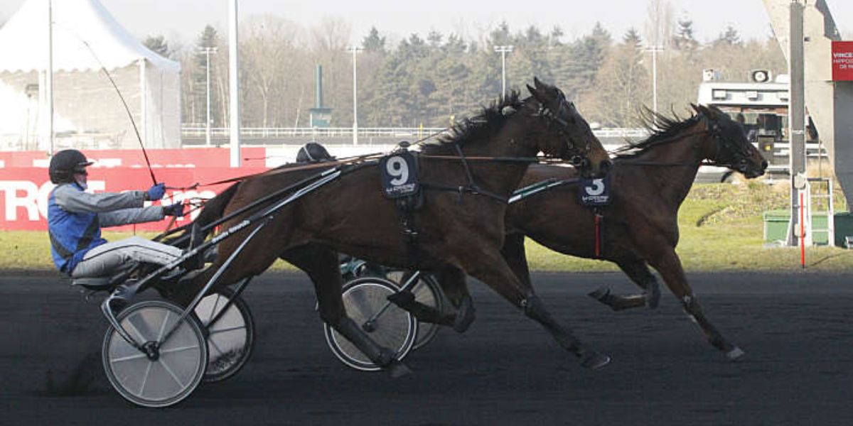 Quinté du vendredi 2 mai 2025 à Vincennes: les pronostics