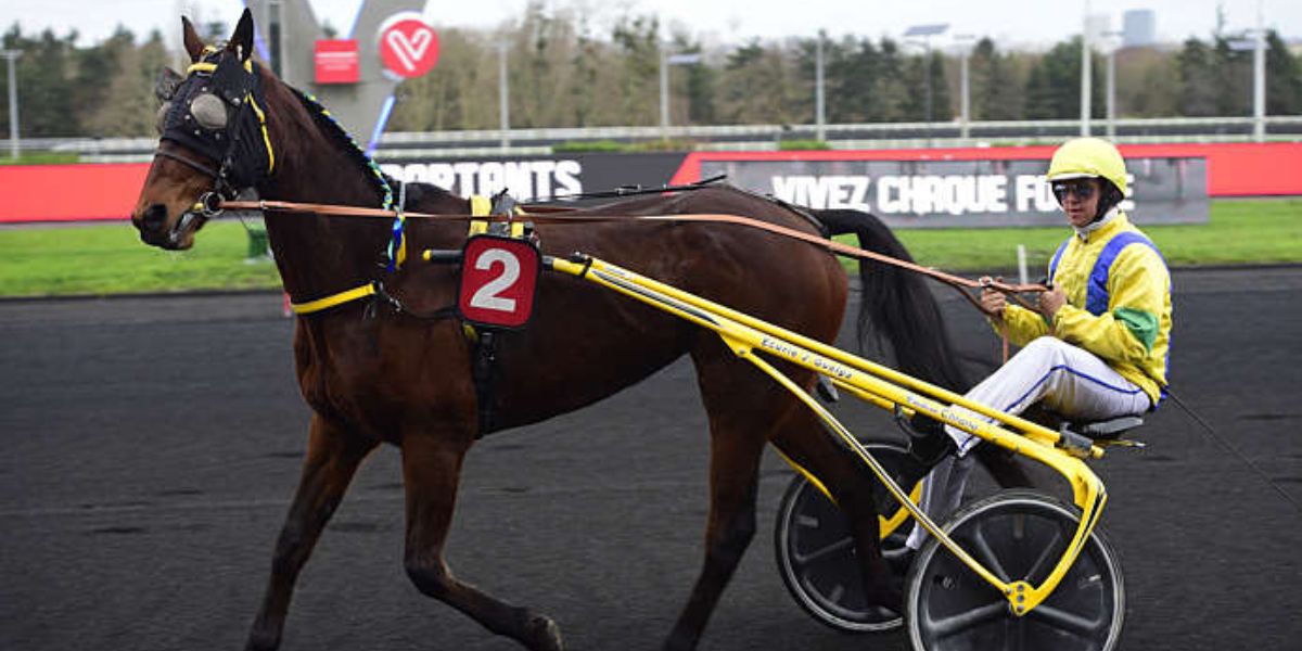 Quinté du samedi 3 mai 2025 à Vincennes: les pronostics
