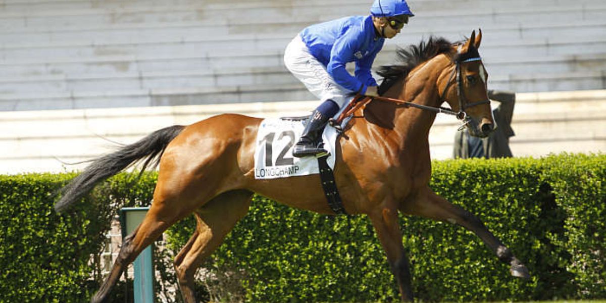 Quinté du dimanche 4 mai 2025 à Longchamp: les pronostics