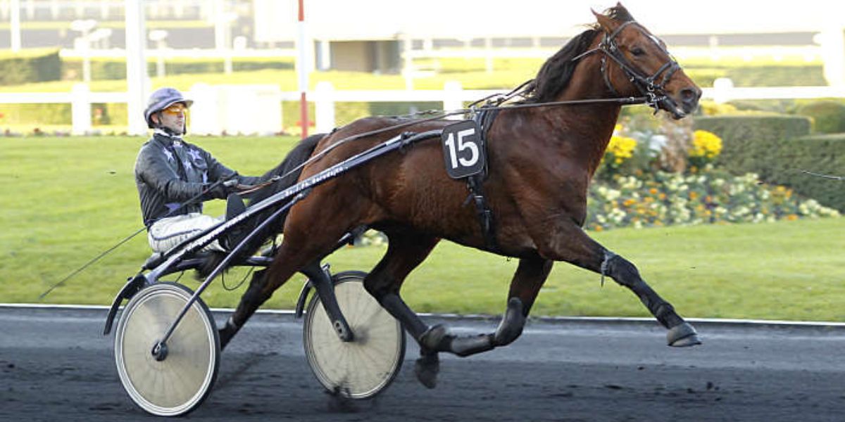 Quinté du vendredi 9 mai 2025 à Vincennes: les pronostics