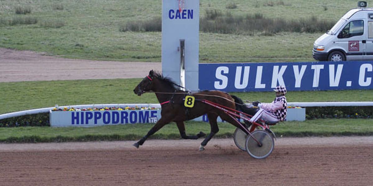 Quinté du samedi 10 mai 2025 à Caen: les pronostics
