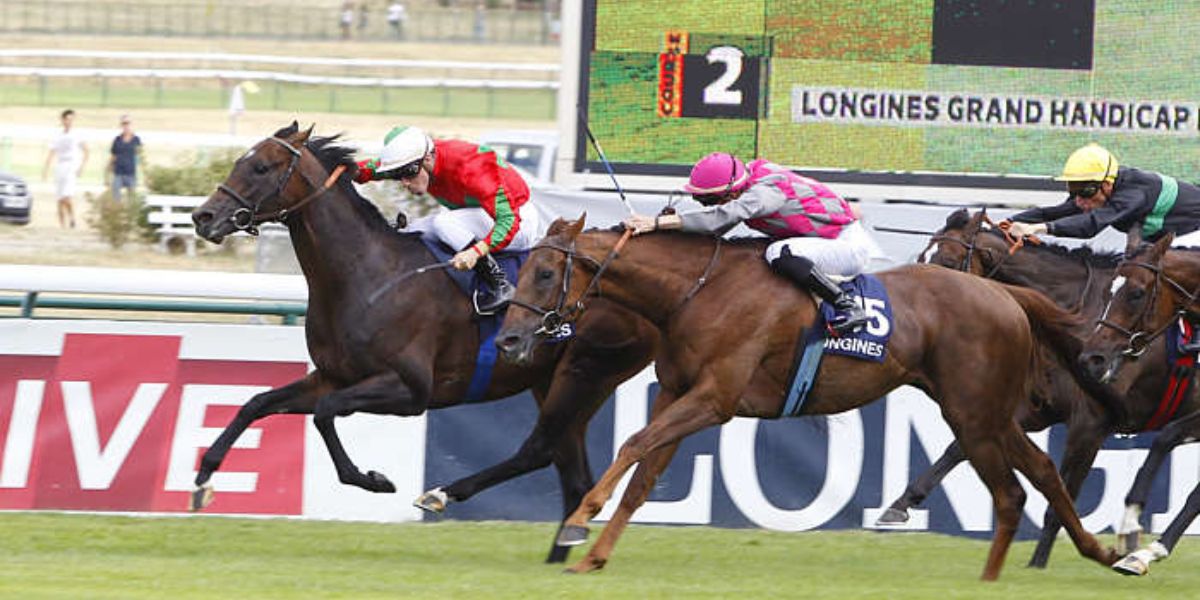 Quinté du dimanche 11 mai 2025 à Longchamp: les pronostics