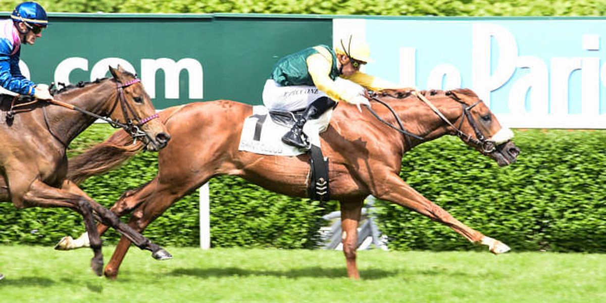 Quinté du mardi 13 mai 2025 à Saint-Cloud: les pronostics