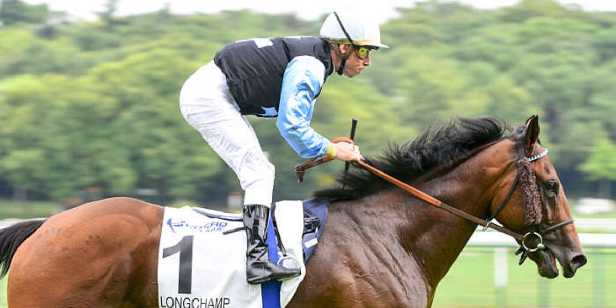 Quinté du jeudi 15 mai 2025 à Longchamp: les pronostics