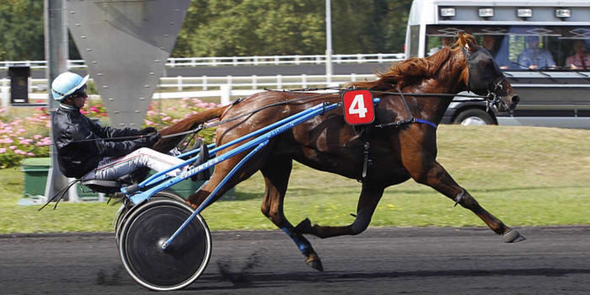 Quinté du vendredi 16 mai 2025 à Vincennes: les pronostics
