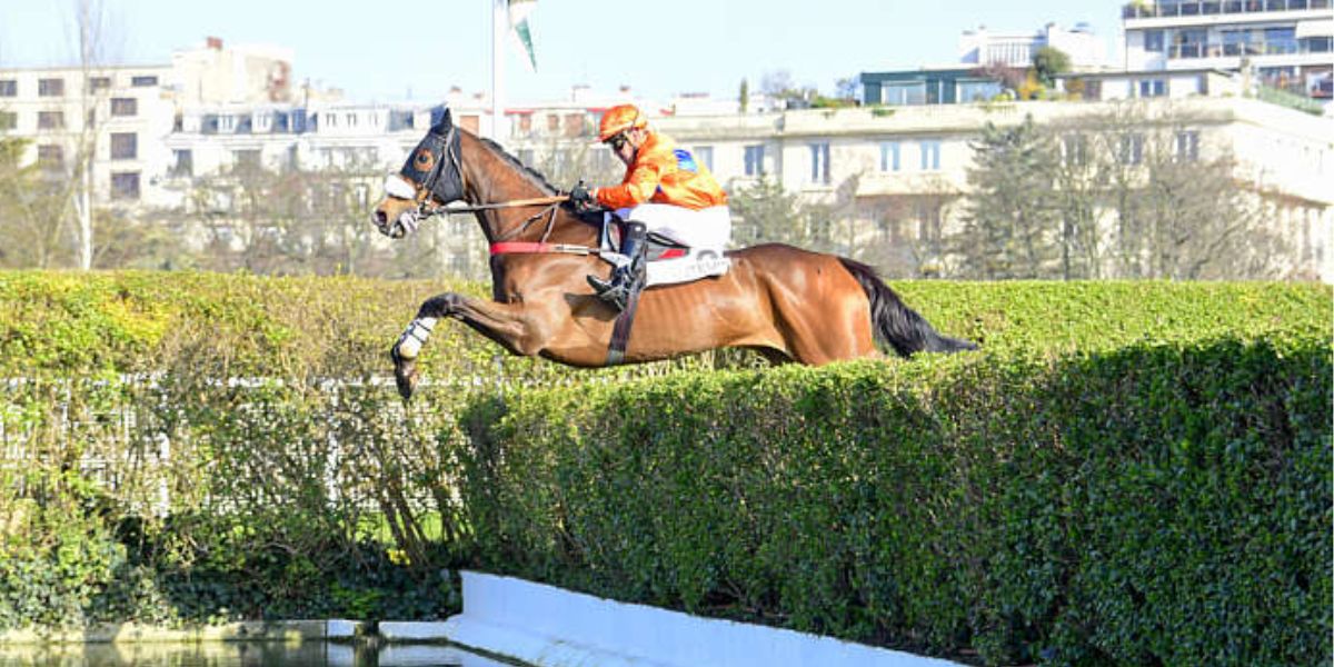 Quinté du samedi 17 mai 2025 à Auteuil: les pronostics