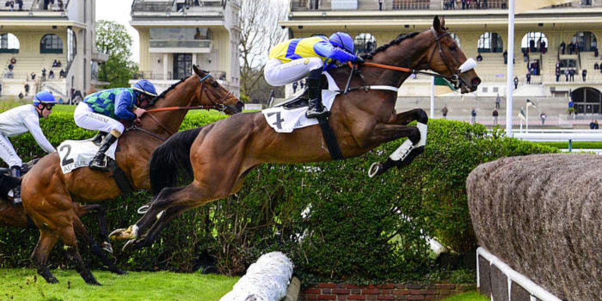 Quinté du dimanche 18 mai 2025 à Auteuil: les pronostics