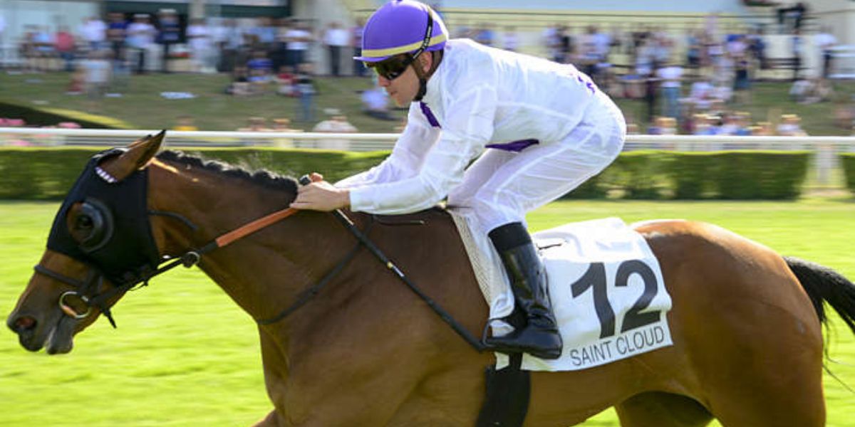 Quinté du lundi 19 mai 2025 à Saint-Cloud: les pronostics