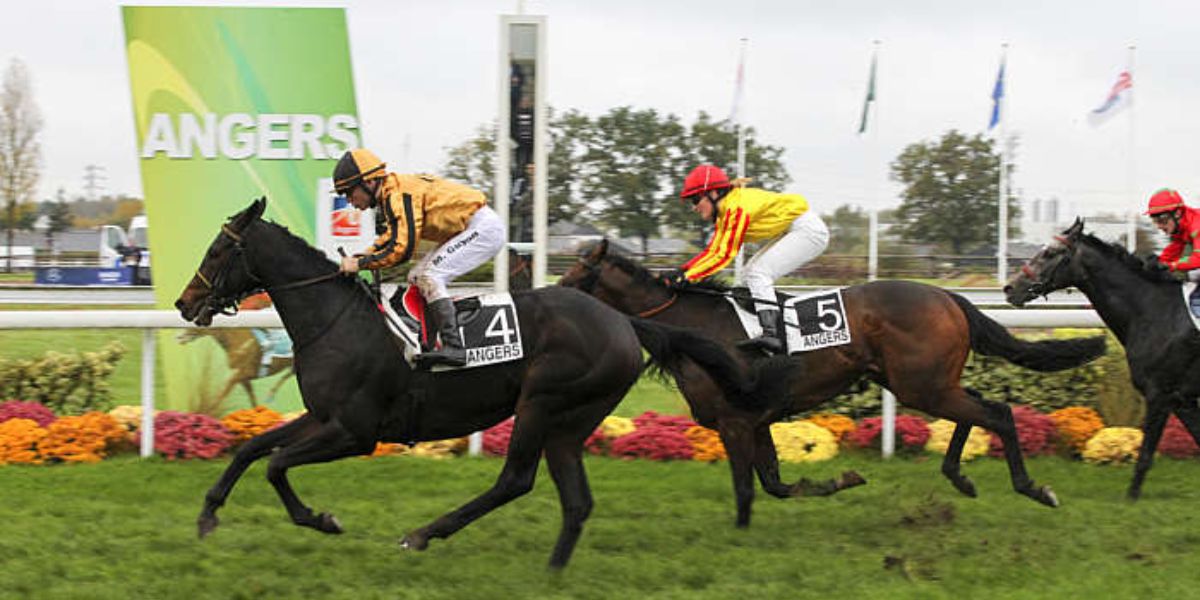 Quinté du mardi 20 mai 2025 à Angers: les pronostics