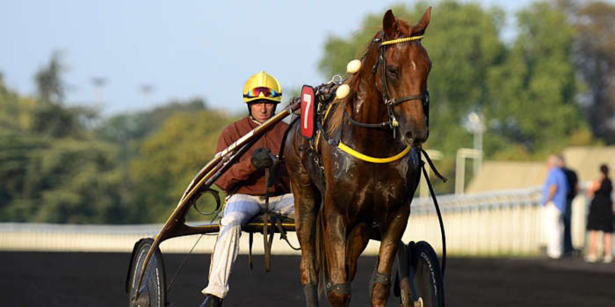 Quinté du mercredi 21 mai 2025 au Croisé-Laroche: les pronostics