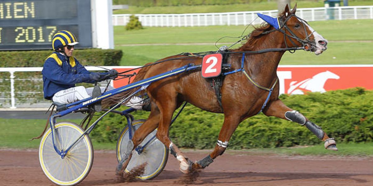 Quinté du samedi 24 mai 2025 à Enghien: les pronostics