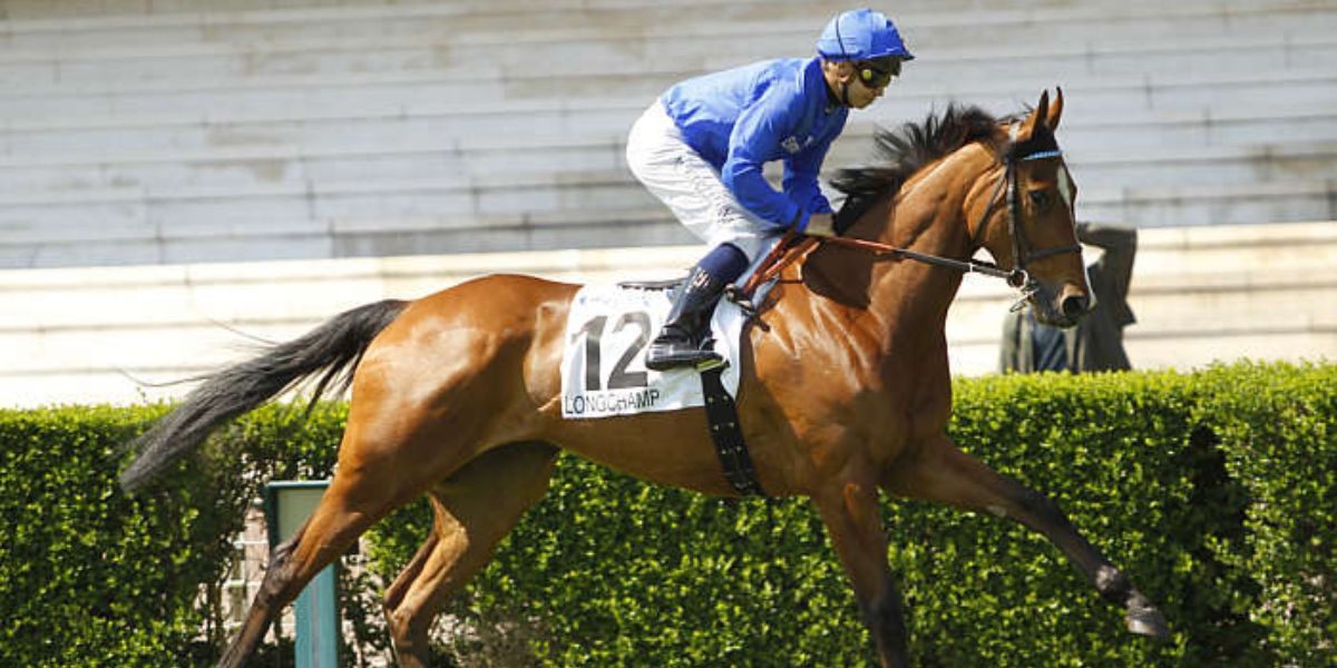 Quinté du dimanche 25 mai 2025 à Longchamp: les pronostics