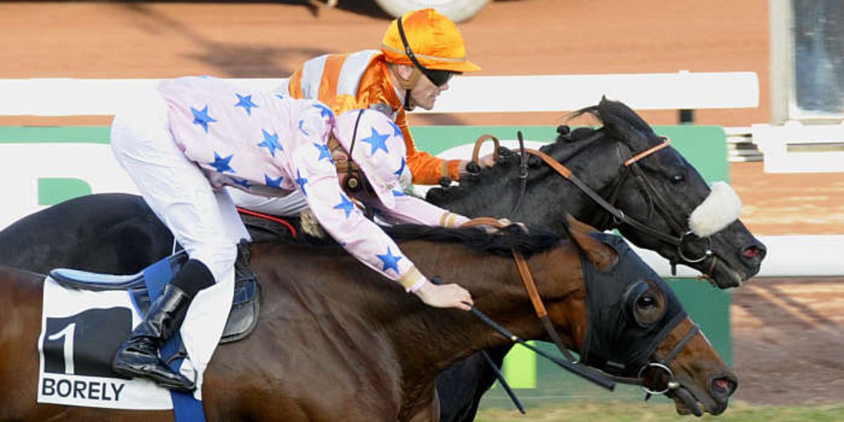 Quinté du lundi 26 mai 2025 à Marseille Borely: les pronostics