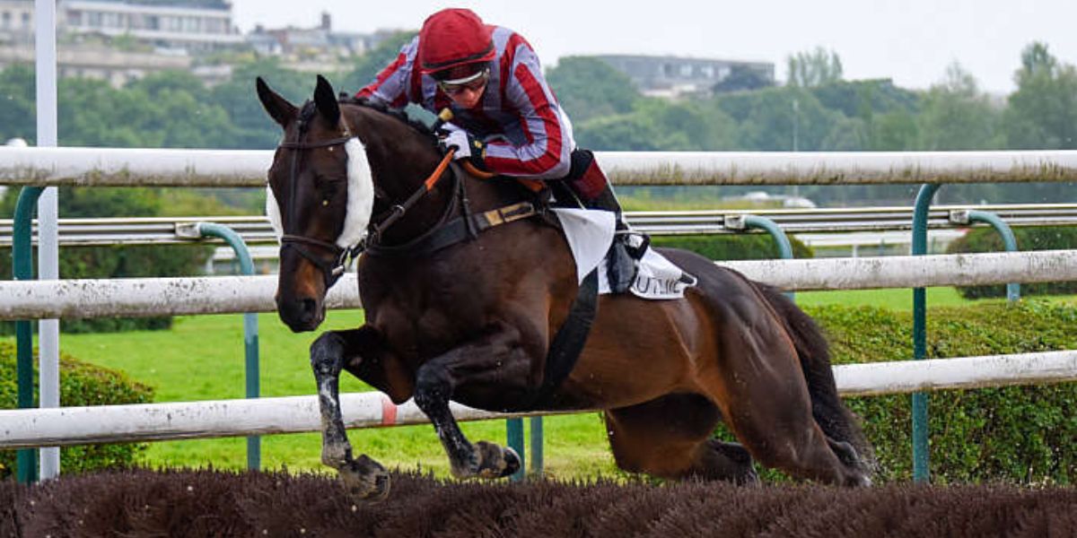 Quinté du mardi 27 mai 2025 à Auteuil: les pronostics