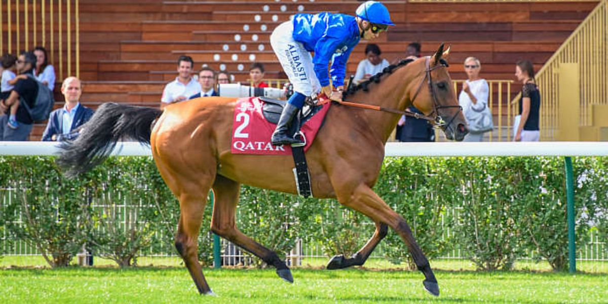 Quinté du jeudi 29 mai 2025 à Longchamp: les pronostics
