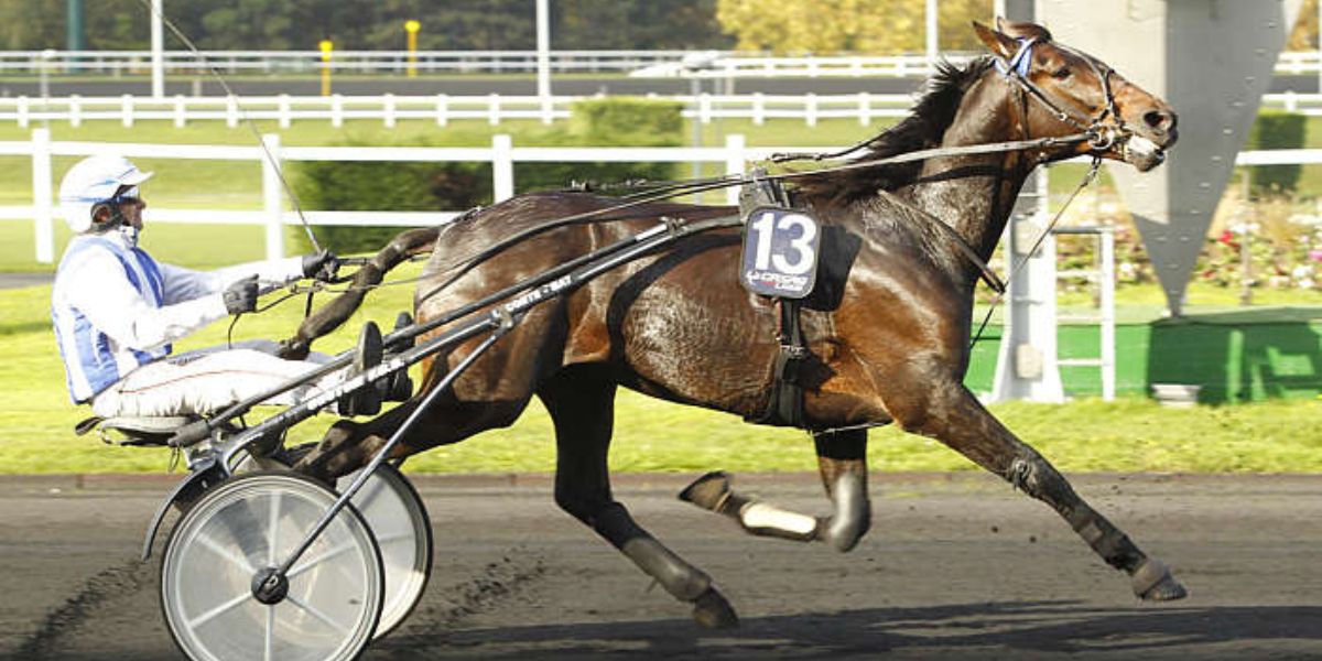 Quinté du vendredi 30 mai 2025 à Vincennes: les pronostics