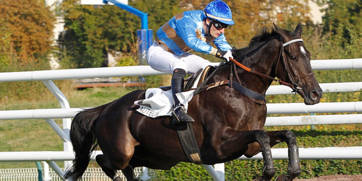 Quinté du samedi 31 mai 2025 à Auteuil: les pronostics