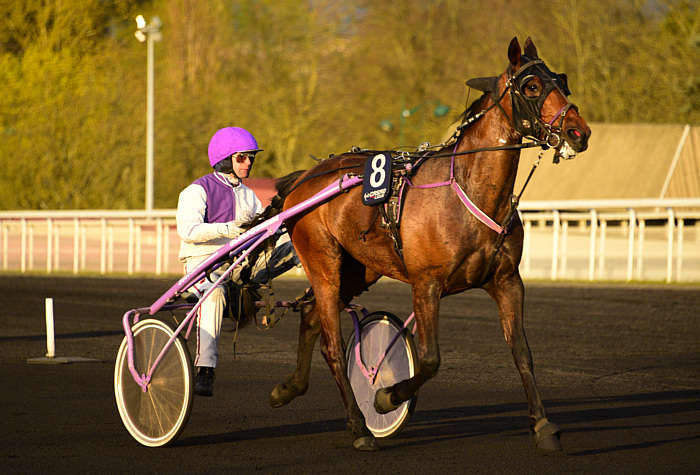 Quinté du lundi 2 juin 2025 à Chantilly: les pronostics