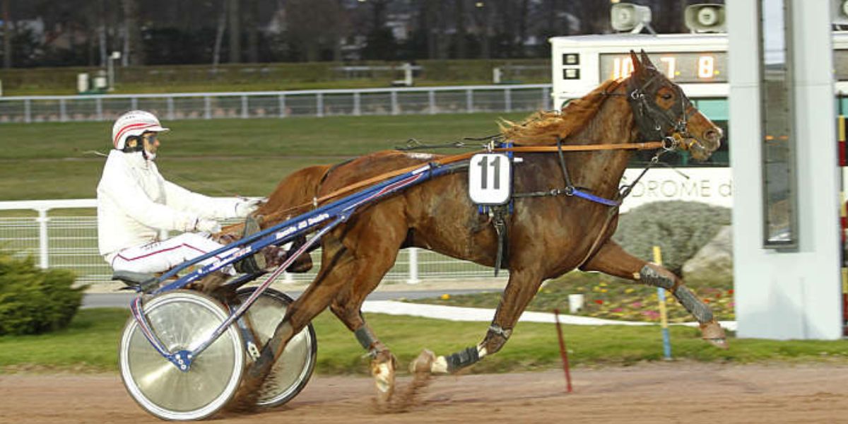 Quinté du mercredi 2 juillet 2025 à Enghien: les pronostics