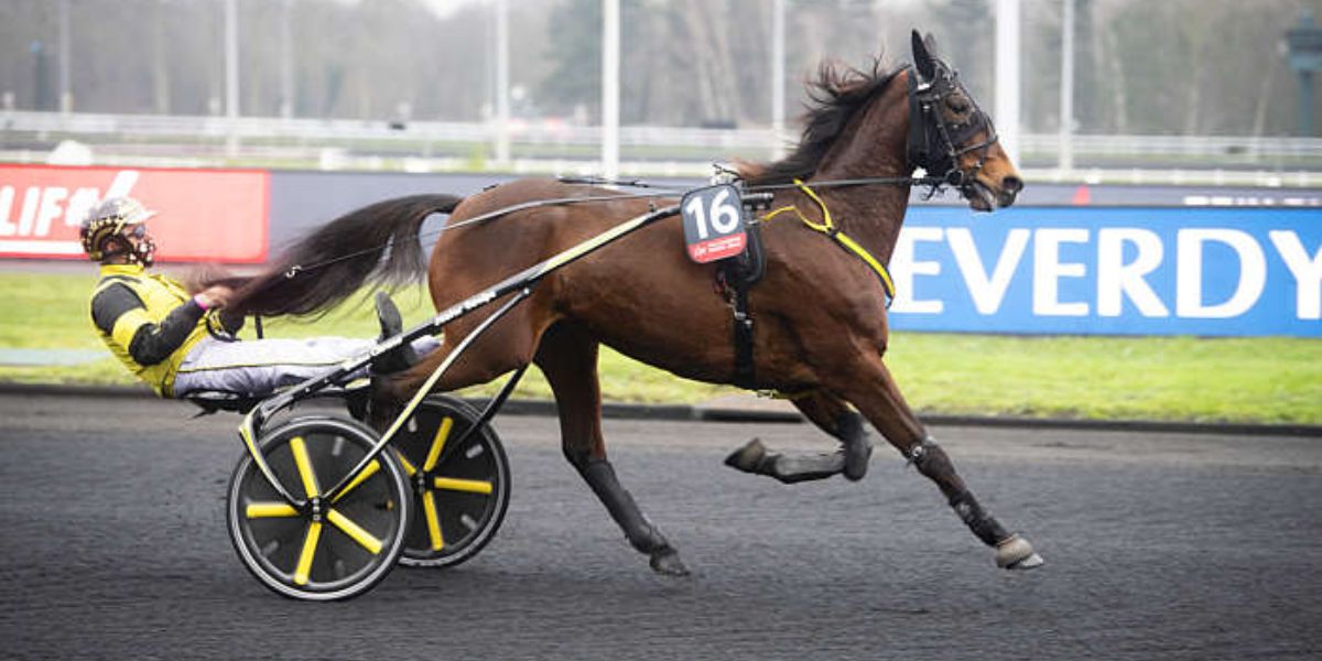 Quinté du samedi 7 juin 2025 à Vincennes: les pronostics