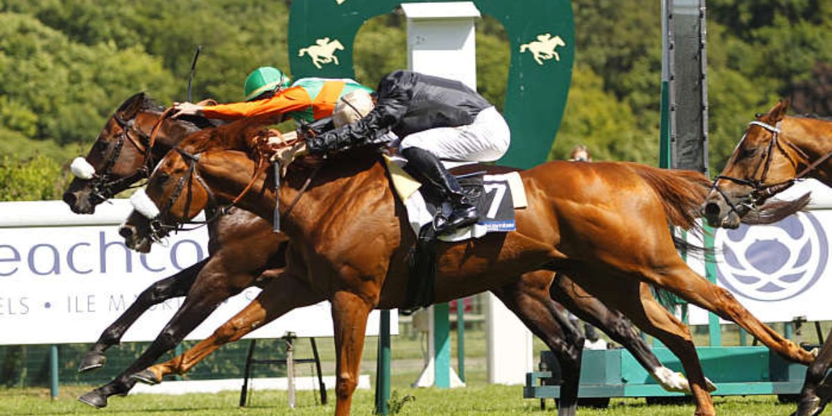 Quinté du dimanche 8 juin 2025 à Longchamp: les pronostics