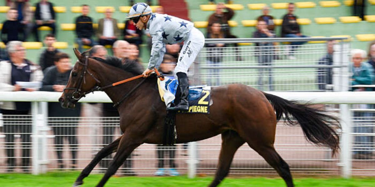 Quinté du lundi 9 juin 2025 à Compiègne: les pronostics