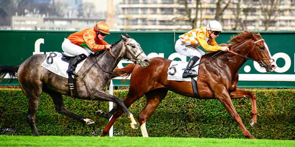 Quinté du mardi 10 juin 2025 à Saint-Cloud: les pronostics