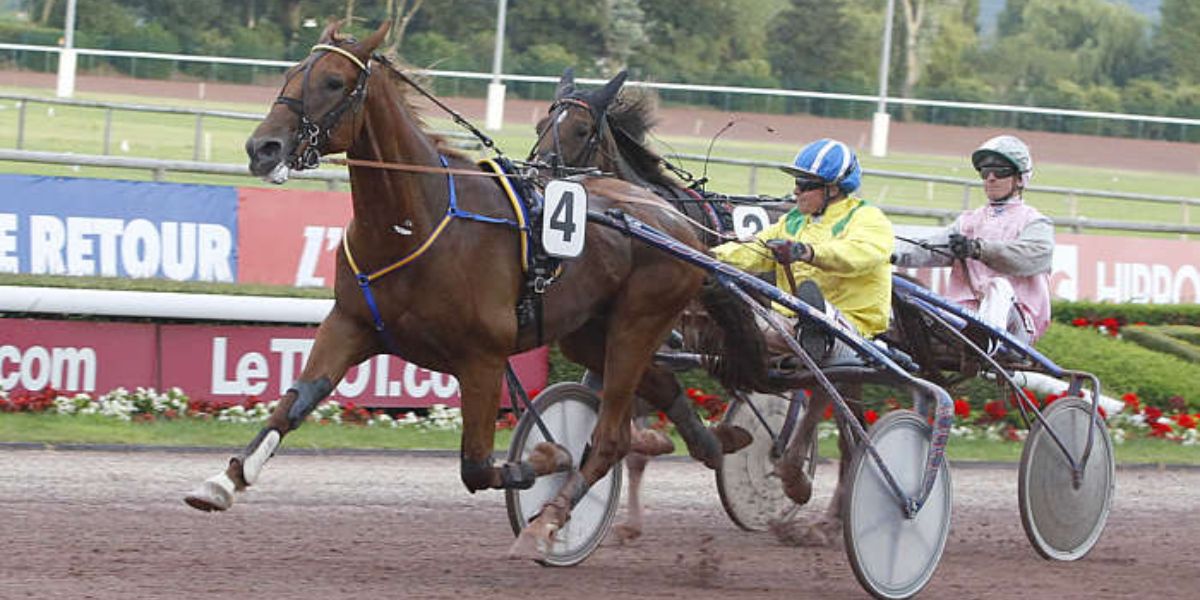 Quinté du mercredi 11 juin 2025 à Caen: les pronostics