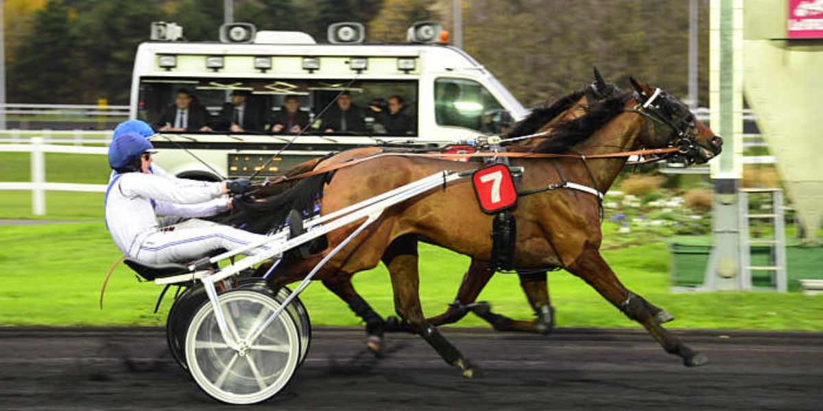 Quinté du vendredi 13 juin 2025 à Vincennes: les pronostics