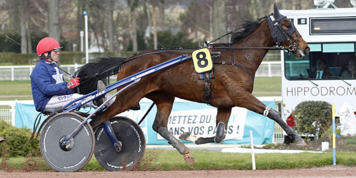 Quinté du mercredi 18 juin 2025 à Toulouse: les pronostics