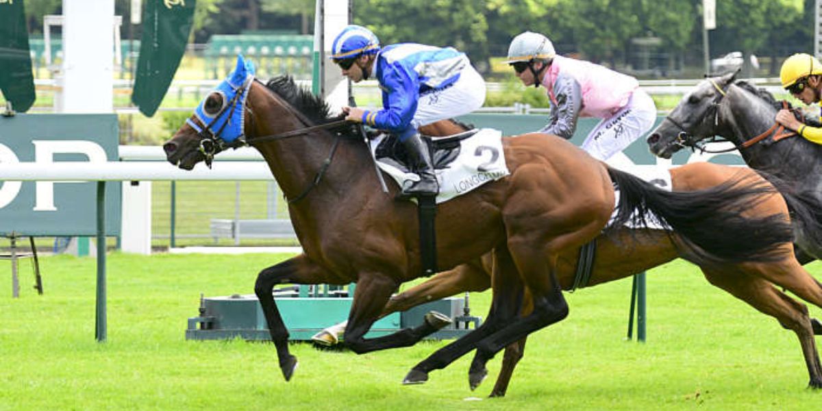 Quinté du jeudi 19 juin 2025 à Longchamp: les pronostics