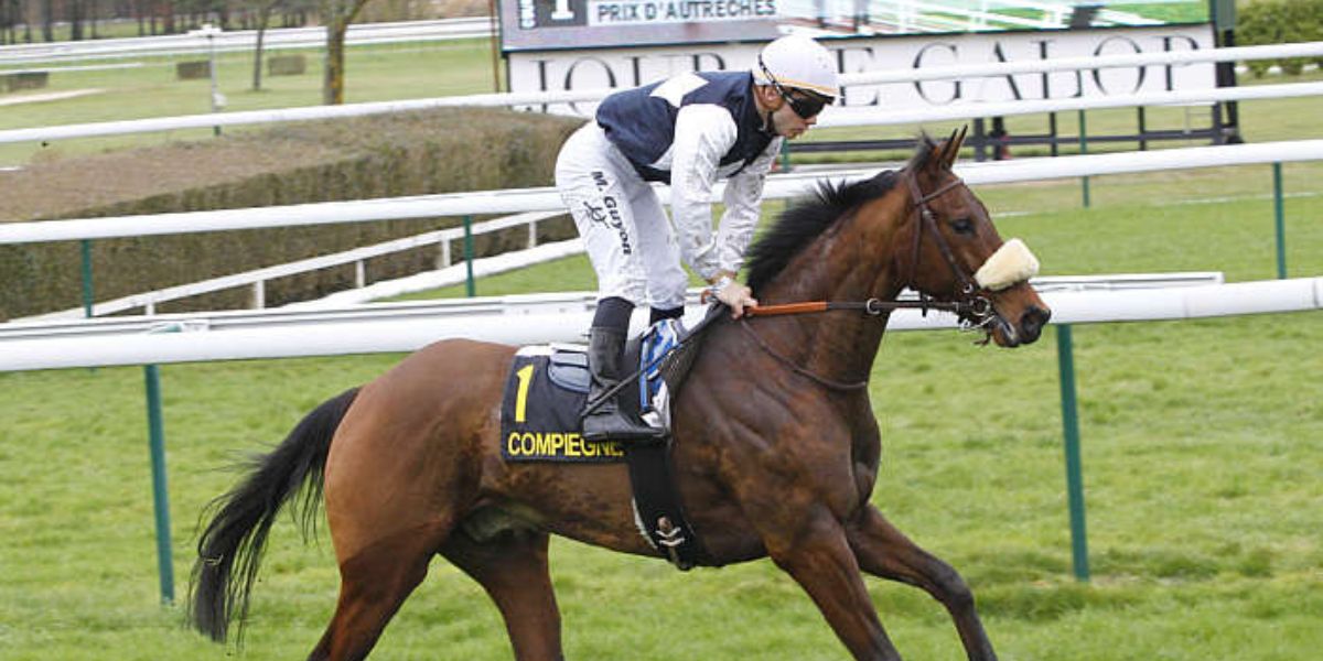 Quinté du samedi 21 juin 2025 à Compiègne: les pronostics