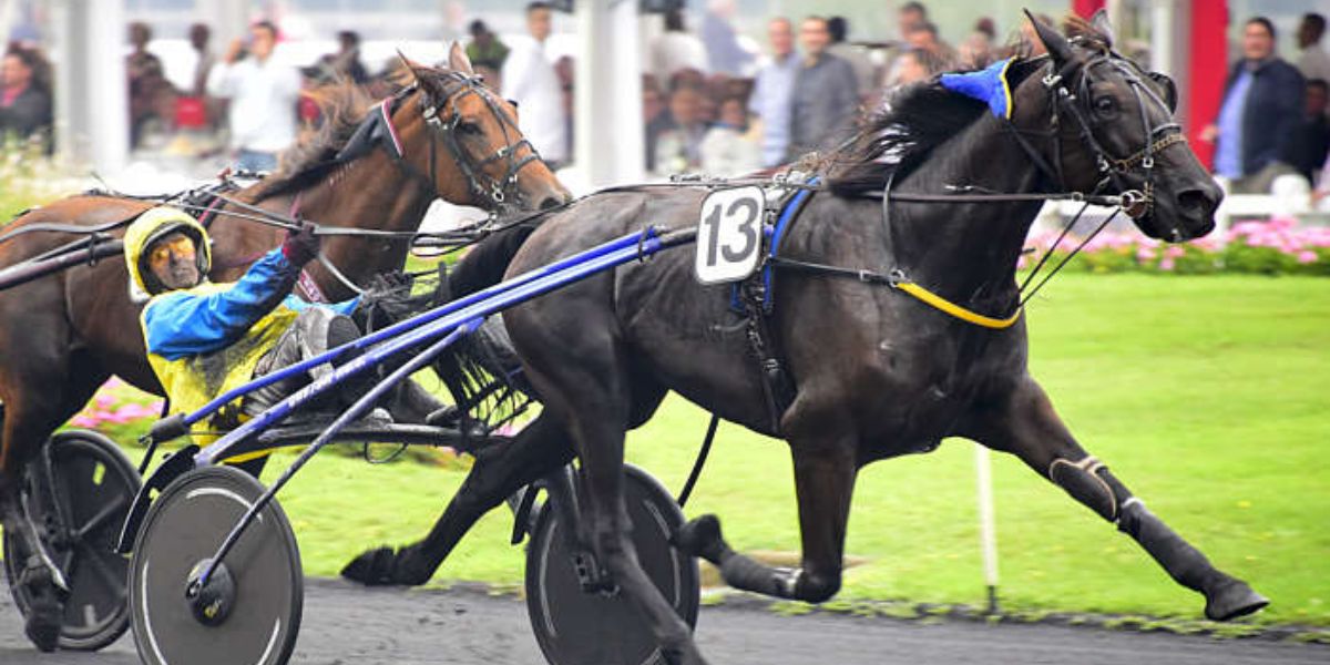 Quinté du dimanche 22 juin 2025 à Vincennes: les pronostics