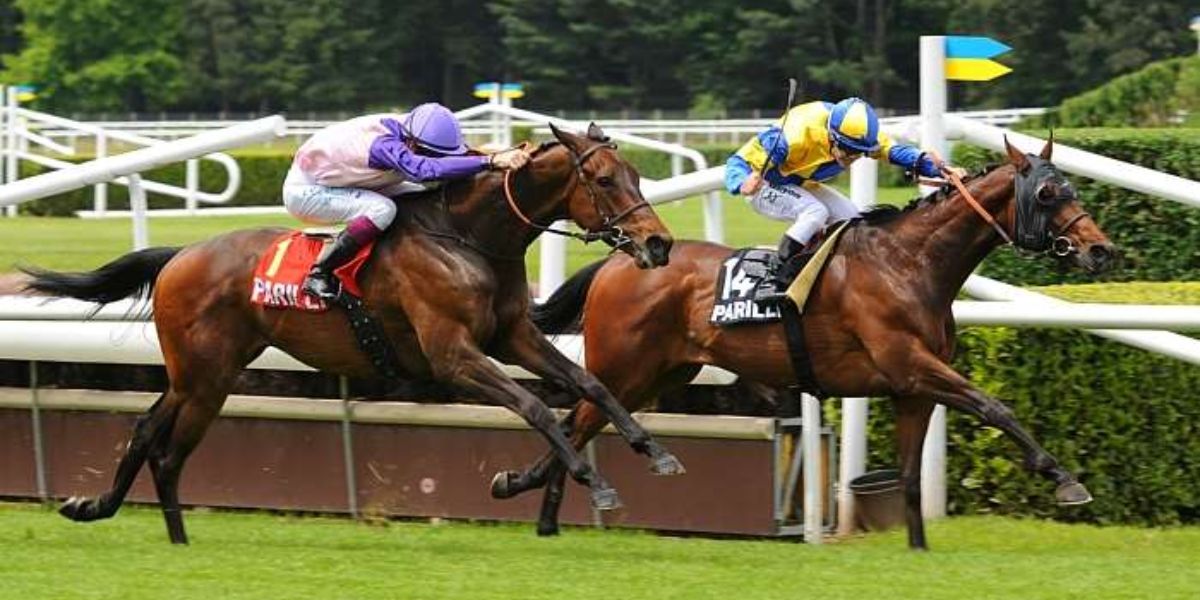 Quinté du lundi 23 juin 2025 à Lyon Parilly: les pronostics