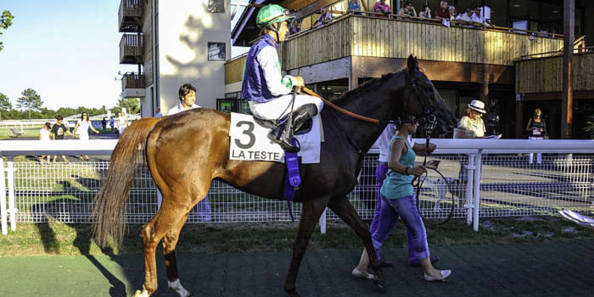 Quinté du jeudi 26 juin 2025 à La Teste: les pronostics