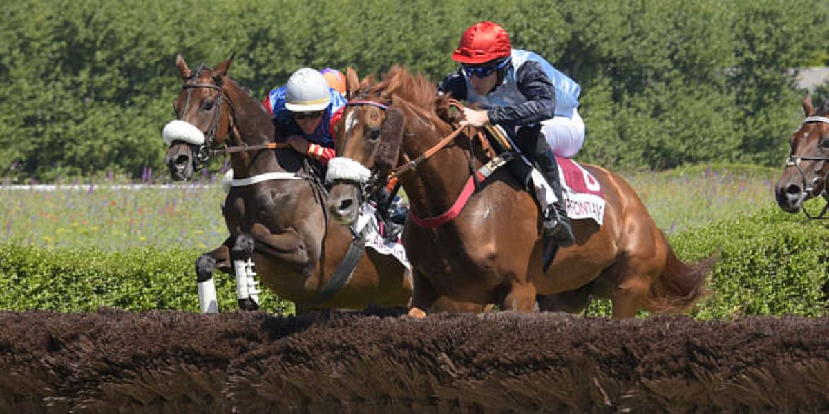 Quinté du lundi 30 juin 2025 à Clairefontaine: les pronostics