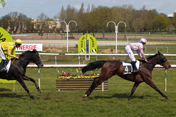 Quinté du mardi 17 juin 2025 à Nantes: les pronostics